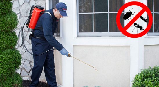 Yeniçağa Böcek İlaçlama böcek ilaçlama ve haşere kontrolü — ilaclama-tr.com